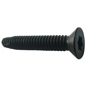 Floorboard Thread Cutting Screw - Flat Head Torx Drive