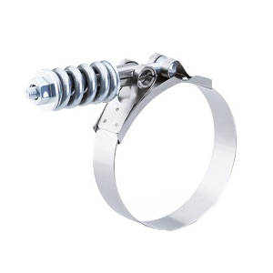 Heavy Duty Spring-Loaded T-Bolt