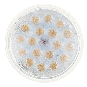 Weatherproof PAR36 LED Light Bulb