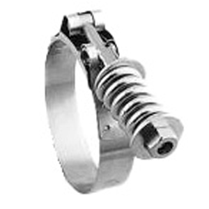 Spring Loaded T-Bolt Clamp